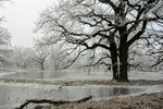 DSC_0787.JPG