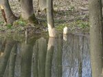 DSC08290.jpg