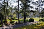 DSC_0349.jpg