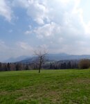 DSC08381.jpg