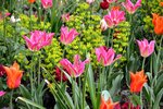 DSC_0436.JPG