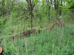 DSC08544.jpg