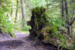 DSC_0027.JPG