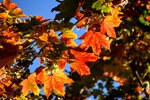 DSC_0108.JPG
