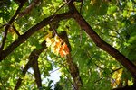 DSC_0110.JPG