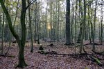 DSC_0410.JPG