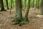 DSC_0099.JPG
