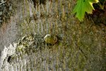 DSC_0214.JPG