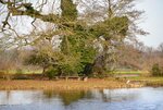 DSC_0065.JPG