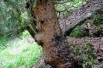 DSC_0166.JPG