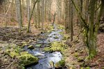 DSC_0412.JPG