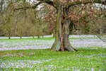 DSC_0243.JPG