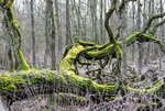 DSC_0377.JPG