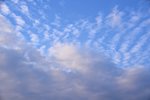 DSC_0054.JPG