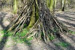DSC_0031.JPG