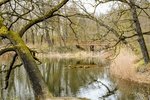 DSC_0344.JPG DSC_0344.JPG