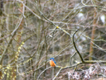 IMG_7713.PNG IMG_7713.PNG