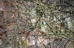 DSC_0357.JPG