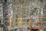 DSC_0320.JPG DSC_0320.JPG