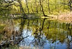 DSC_0039.JPG