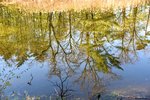 DSC_0038.JPG DSC_0038.JPG