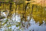 DSC_0035.JPG DSC_0035.JPG