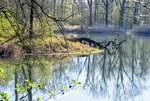 DSC_0123.JPG DSC_0123.JPG