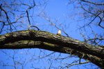 DSC_0032.JPG