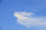 DSC_0026.JPG