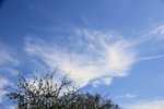 DSC_0040.JPG