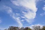 DSC_0028.JPG