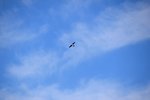 DSC_0044.JPG