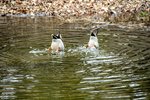 DSC_0080.JPG