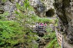 DSC_0098.JPG DSC_0098.JPG