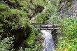 DSC_0106.JPG DSC_0106.JPG