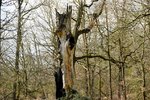 DSC_0311.JPG