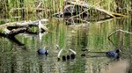DSC_0104.JPG