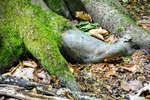 DSC_0280.JPG