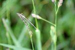 DSC_0066.JPG DSC_0066.JPG