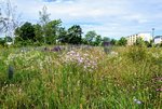 DSC_0029.JPG DSC_0029.JPG
