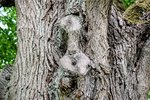 DSC_0075.JPG