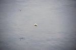 DSC_0258.JPG