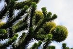 DSC_0020.JPG