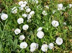 DSC_0138.JPG DSC_0138.JPG