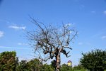 DSC_0004.JPG DSC_0004.JPG