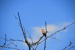 DSC_0005.JPG DSC_0005.JPG