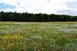 DSC_0295.JPG DSC_0295.JPG