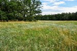 DSC_0296.JPG DSC_0296.JPG