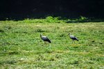 DSC_0482.JPG DSC_0482.JPG