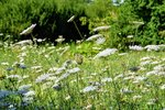DSC_0041.JPG DSC_0041.JPG